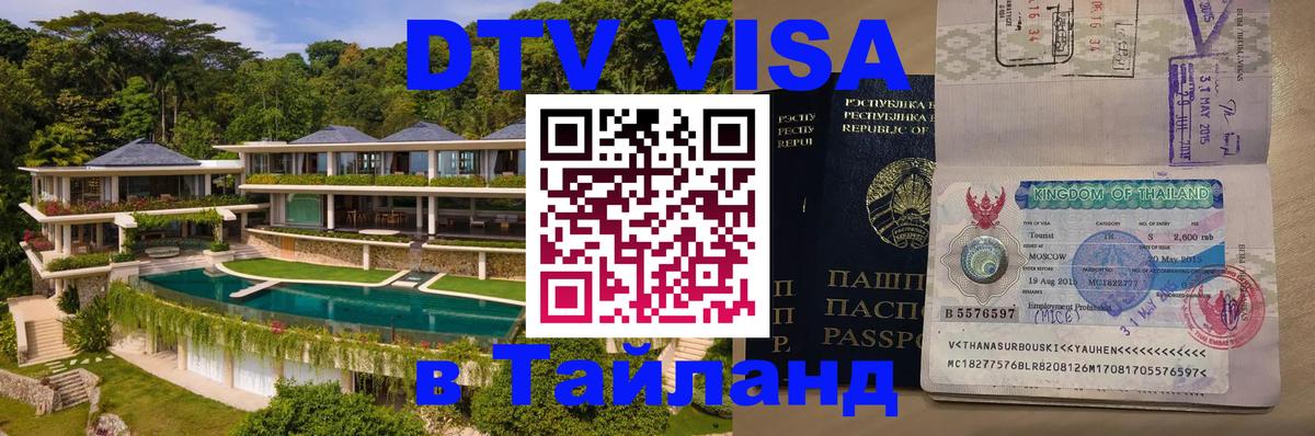 Оформление DTV визы под ключ: стоимость и тарифы, только загранпаспорт - Пенза 